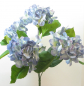 Preview: Hortensie Rabe x5 45cm blau 20431-4