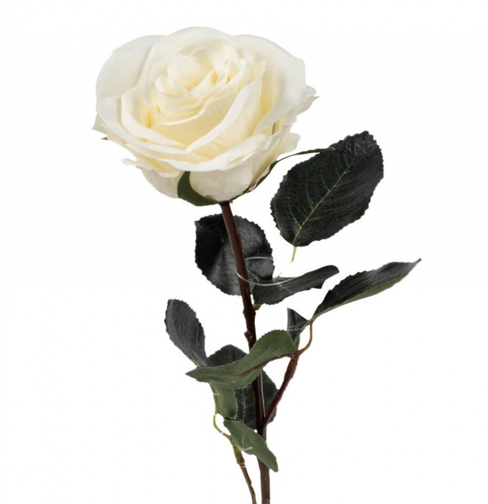 Rose gefuellt Madame" 1Bl,9Lb L37cm cremeweiss 1333-01"