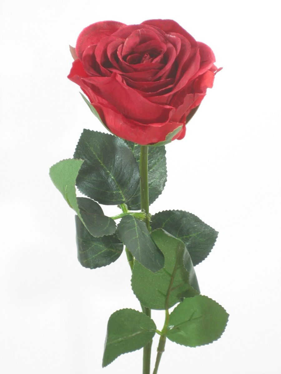 Rose gefuellt Madame 1Bl,9Lb L37cm rot 1333-04