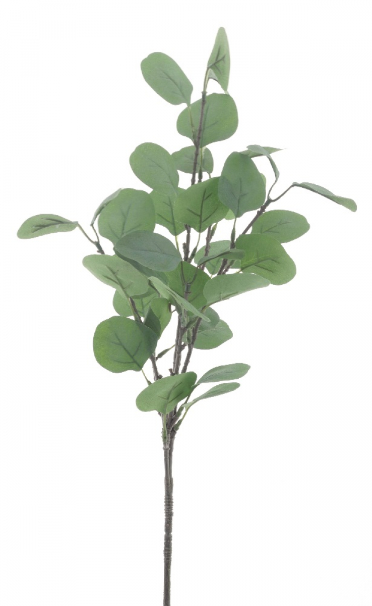 Eucalyptus-Zwieg gruen 64cm 33008-1