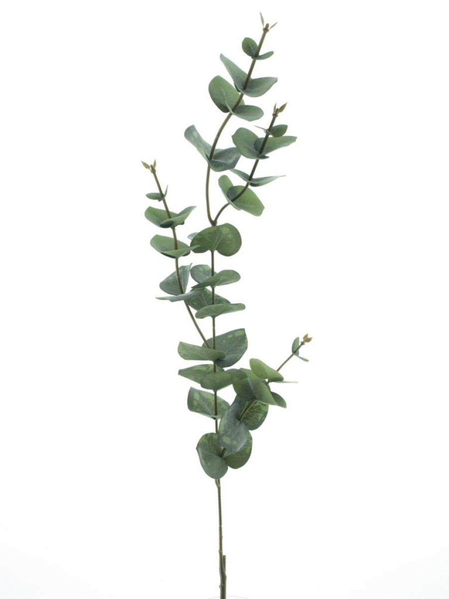 Eucalyptus-Zweig Mirai fruehlingsgruen 60cm 33046-2