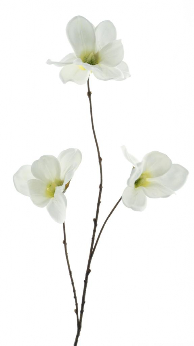 Magnolienzweig weiss 83cm 96909-0