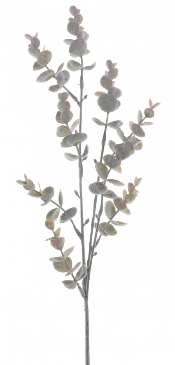 Eucalyptus-Zweig rot-geweisst ca. 63cm 97080-3