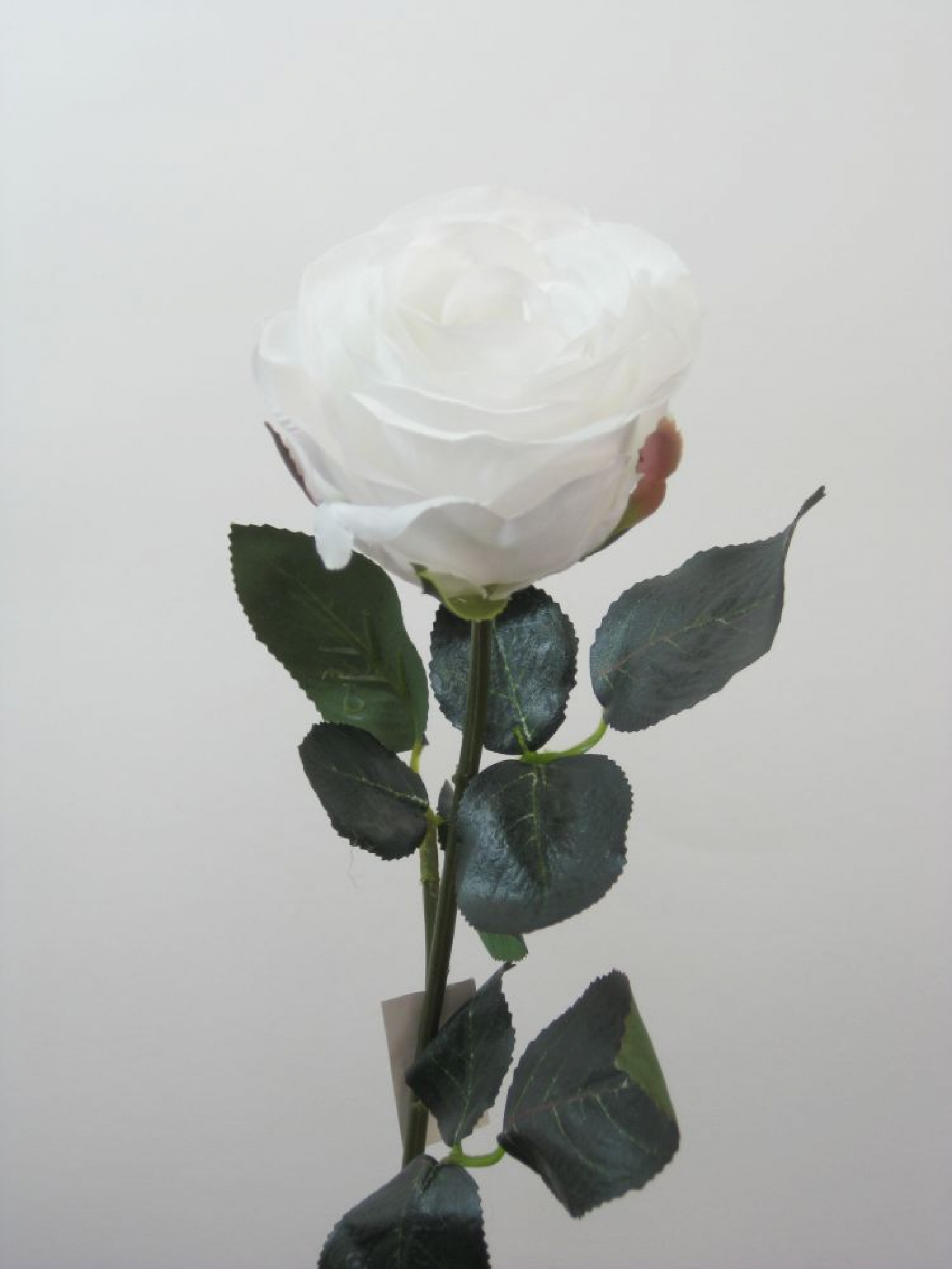 Rose gefuellt Madame 1Bl,9Lb L37cm weiss 1333-20