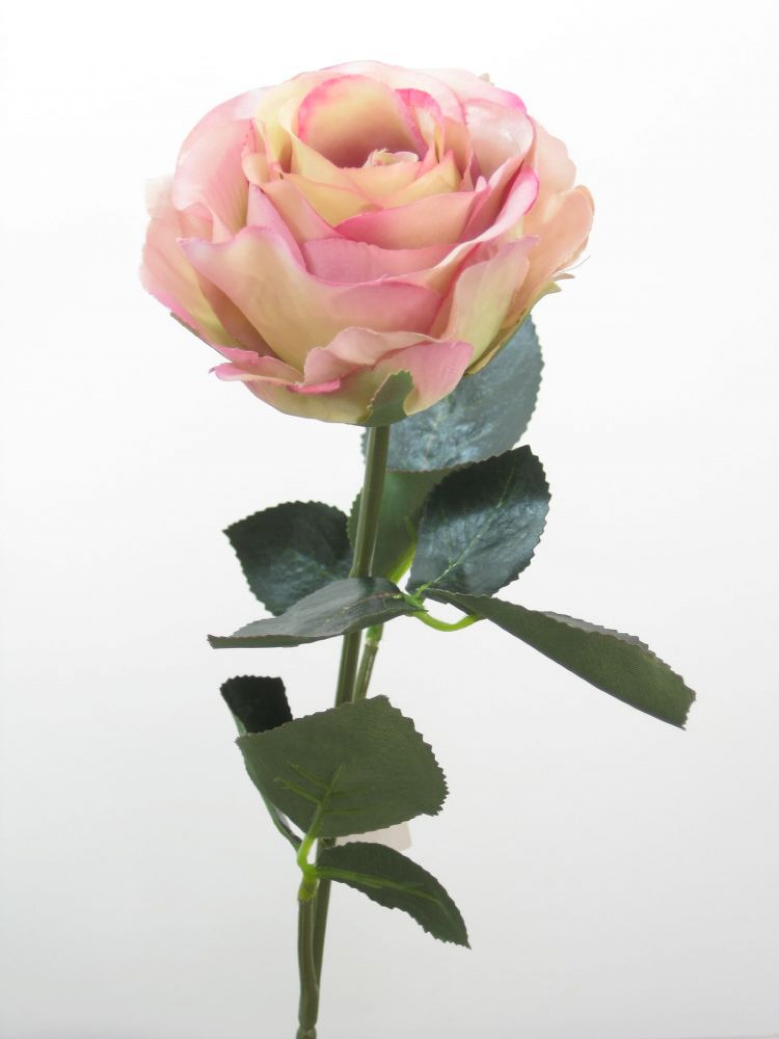 Rose gefuellt Madame 1Bl,9Lb L37cm mehrtonrosa 1333-24