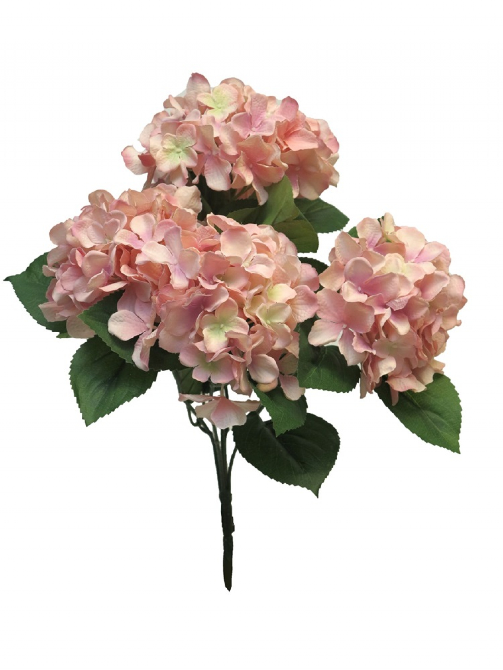 Hortensie Rabe x5 45cm pink 20431-7