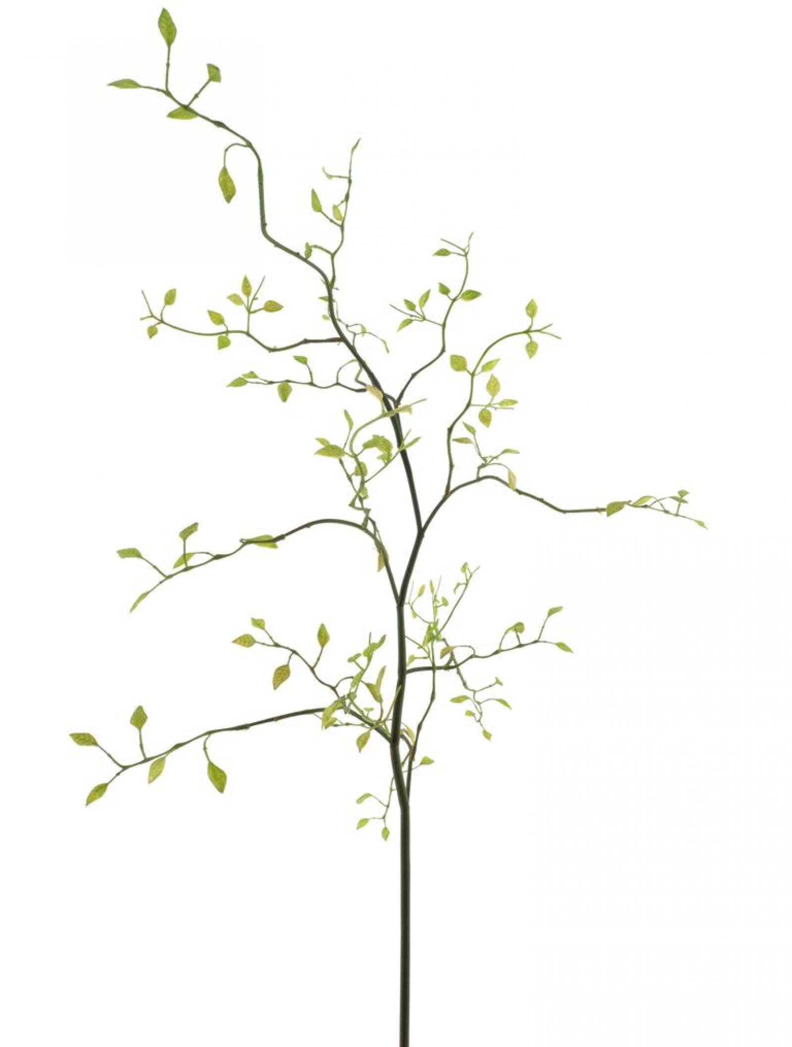 Lonicera-Blattzweig frischgruen 96cm 22099-1