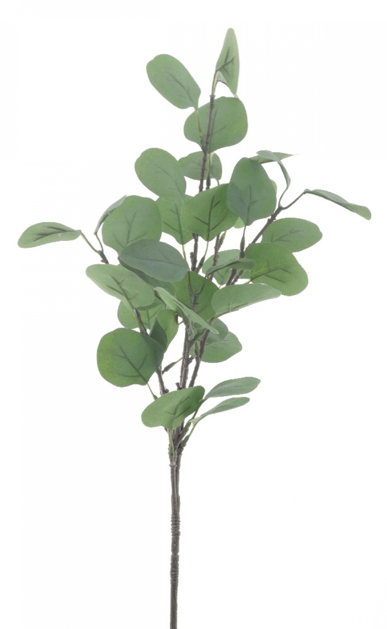 Eucalyptus-Zwieg gruen 64cm 33008-1