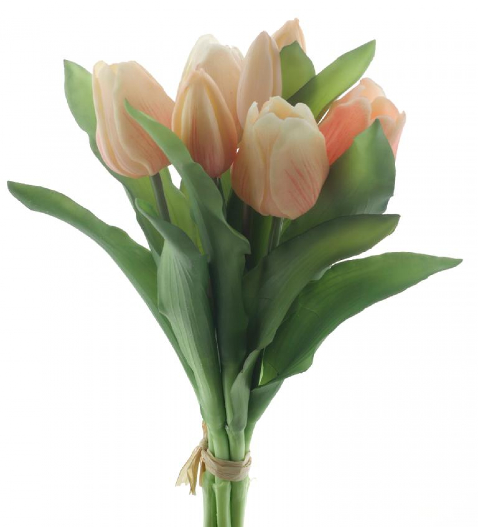 Tulpenbund Vermeer Sally orange/peach 31cm 93292-36