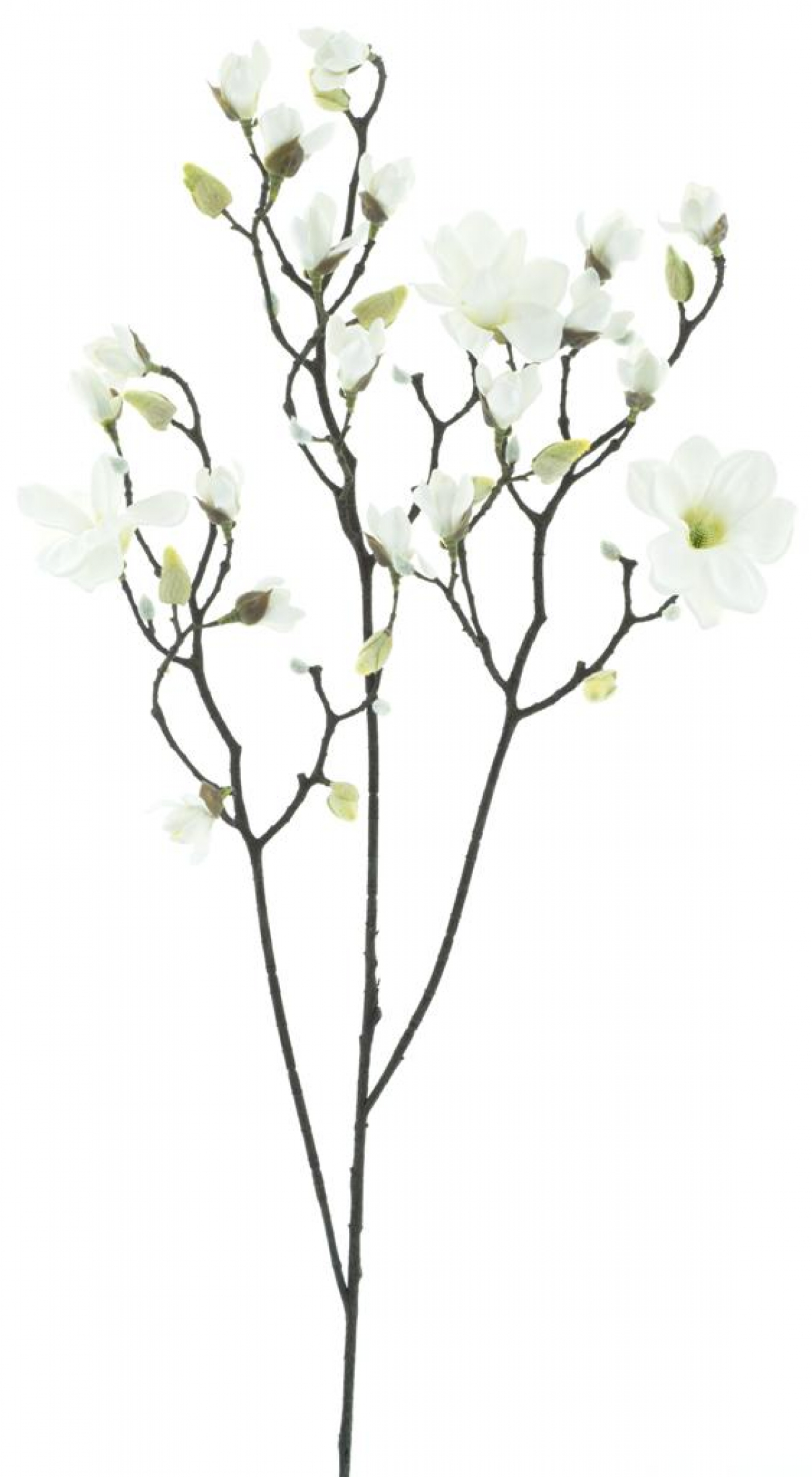 Magnolie Osaka weiss 123cm 96907-0