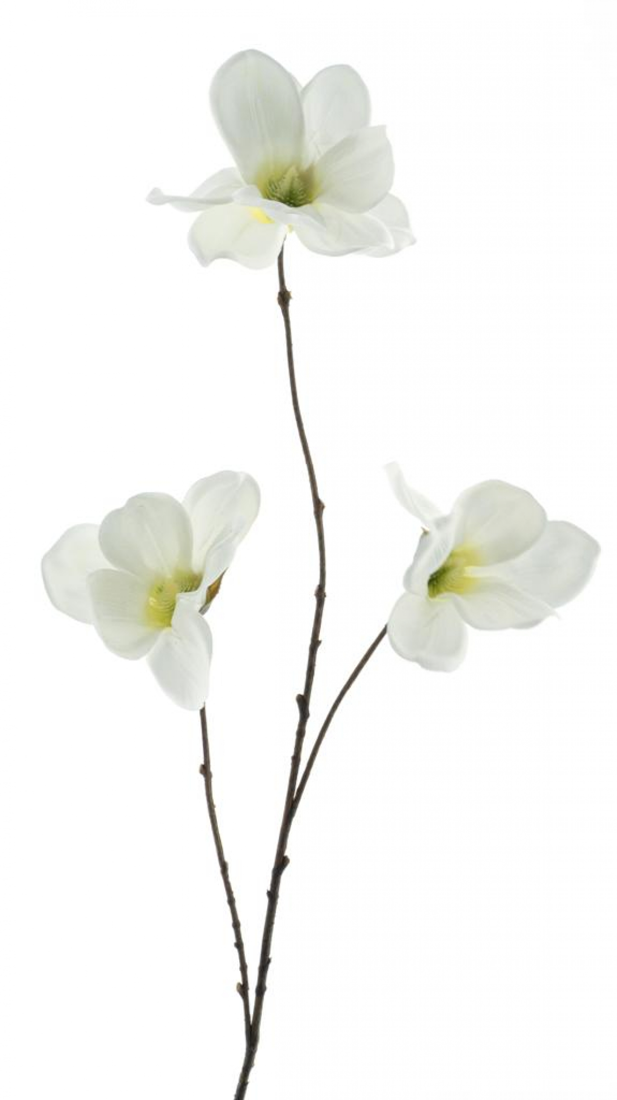 Magnolienzweig weiss 83cm 96909-0