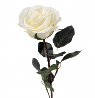 Rose gefuellt Madame" 1Bl,9Lb L37cm cremeweiss 1333-01"