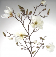 Magnolienzweig mit Bl,mit Kn H110cm weiss 1836-01