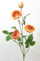 Heckenrosen-Zweig, 65cm apricot 120135-36