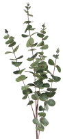 Eucalyptuszweig, L100cm gruen 220031-42