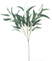 Eucalyptus- Zweig verzweigt gruen 101cm 32937-1