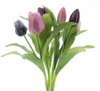 Tulpenbund Vermeer Sally mix-mauve 31cm 93292-41