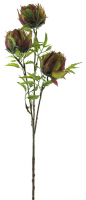 Protea-Zweig beauty 73cm 93660-6