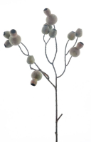 Eucalyptusglocken-Zweig braun-rot ca. 62cm 97074-8